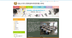 Desktop Screenshot of fes.csplan.jp